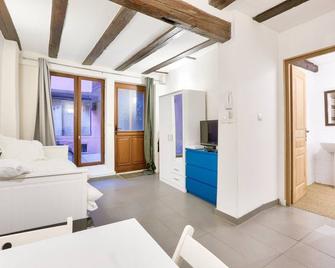 Charming studio historical center of Strasbourg - Strasburg - Pokój dzienny