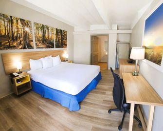 Days Inn by Wyndham Denver Downtown - דנבר - חדר שינה