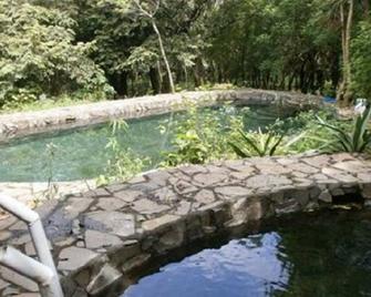 Two Bedroom Apt, Cozy, Comfy. Budget Prices, We Are An Eco Retreat - Fortuna - Piscina