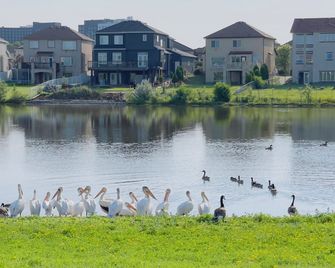 Cozy townhouse with Spacious Bedroom and Private Bathroom in South Winnipeg - Winnipeg