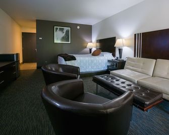 Lemon Tree Inn - Santa Bárbara - Habitación