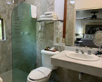 Hotel Inn Galerias - Aguascalientes - Bagno