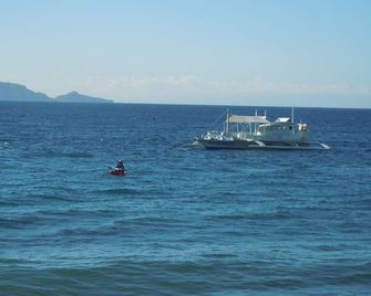 Wellbeach Dive Resort - Dauin