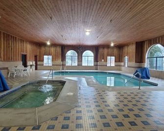 Bay Inn - Tawas City - Piscina