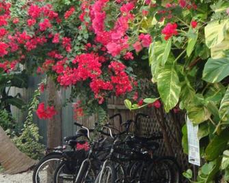 El Patio Motel - Key West - Property amenity