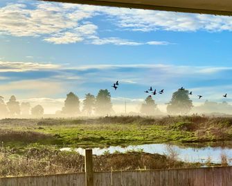 Radiata Homestay - Hamilton - Outdoors view