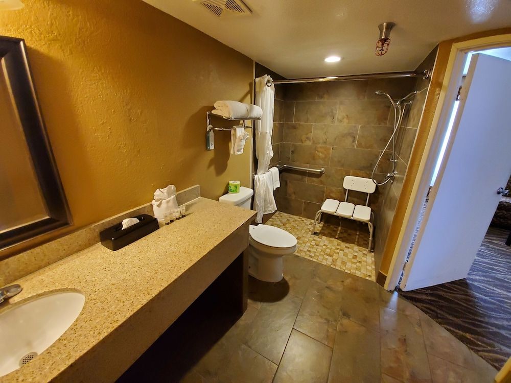Hotel d’Lins Ontario Airport - Ontario - Bad