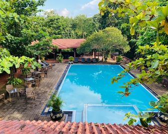Tree Of Life Nature Resort - Kandy - Πισίνα