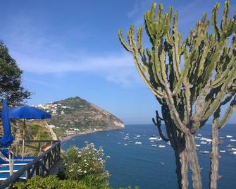 Charming house with patio and seaview - Barano d'Ischia - Vista esterna