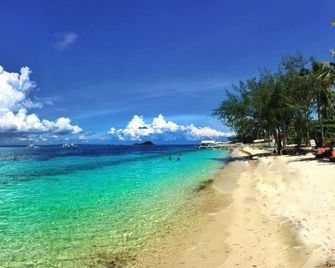 Ocean Vida Beach and Dive Resort - Daanbantayan - Beach