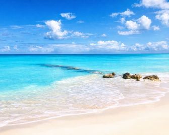 Artist's Studio Grace Bay Views, Providenciales - The Bight Settlements - Beach