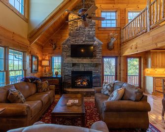 Good Medicine - Boone - Living room