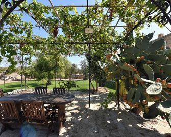 Masseria La Maestà - Ospitalità Rurale Famigliare - Sannicola - Patio