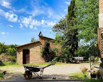 Bed and Breakfast in the Tuscan countryside - Capannoli - Patio
