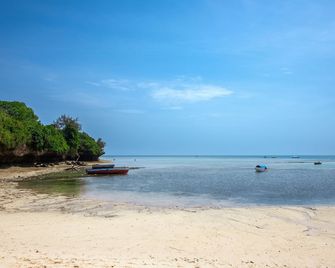 Eden Paradise - Michamvi - Strand