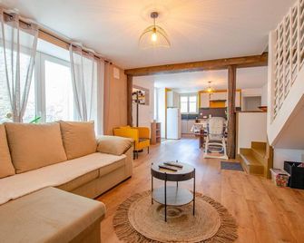 Chez gillou - Dolancourt - Salon