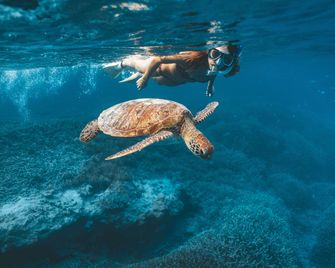 Heron Island Resort - Heron Island