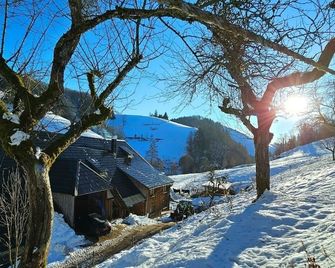 Ferienwohnung am Belchen - Wieden - Außenansicht