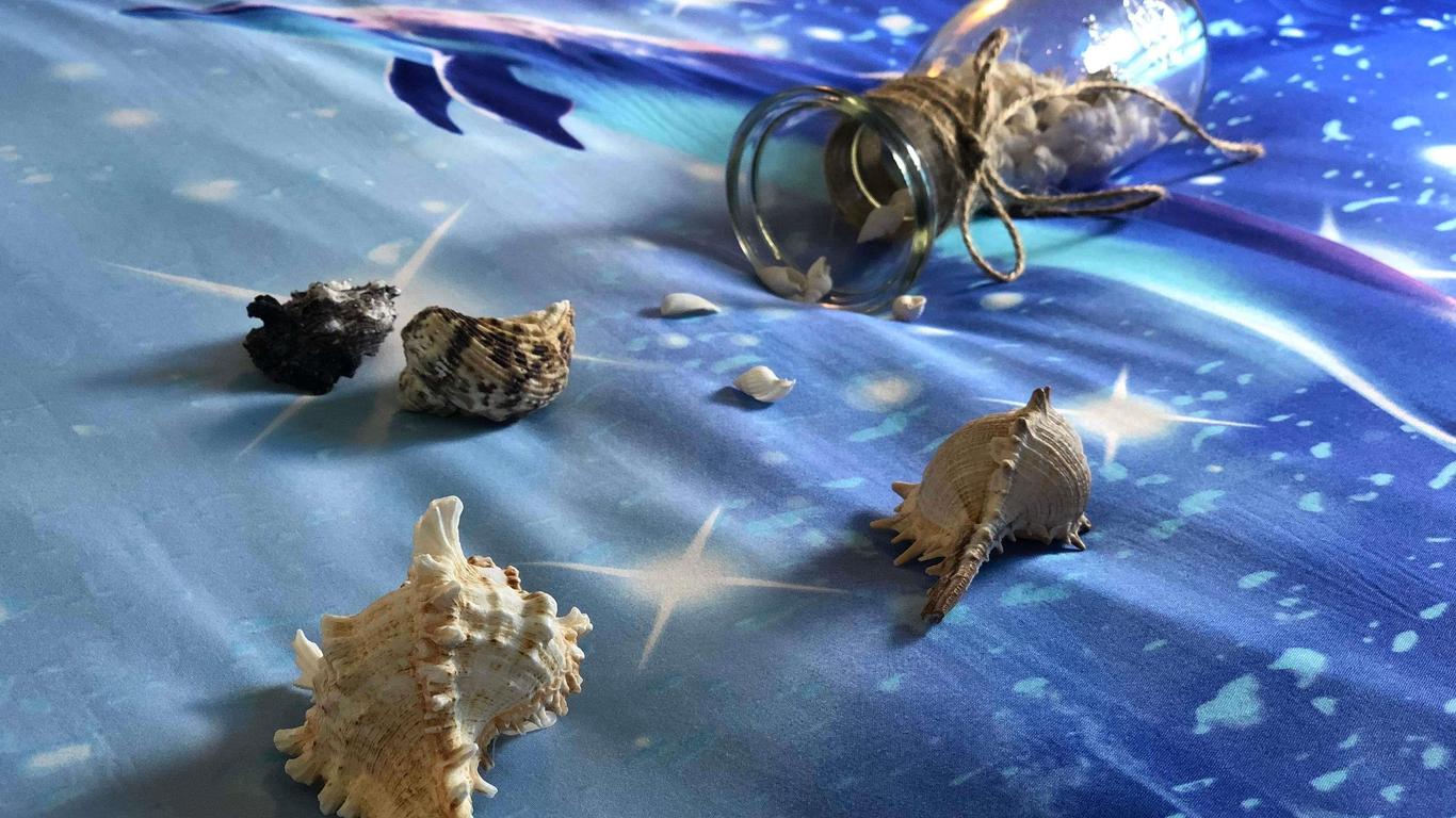 ibis Hong Kong Central & Sheung Wan