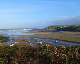 The Pot And Barrel - Bude