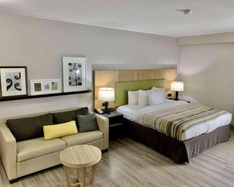 Country Inn & Suites by Radisson Sandusky South OH - Milan - Ložnice