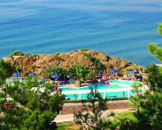 Alma Luxury Resort Hotel - Petra - Pool
