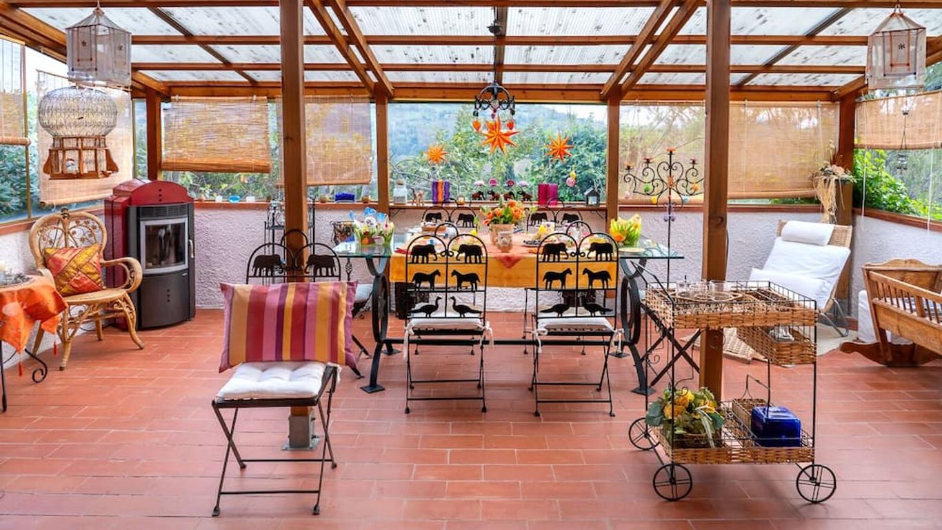 B&B Glicine