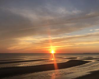 Steps to a private bay beach from this private & Charming Cape! Book this Fall! - Eastham - Beach