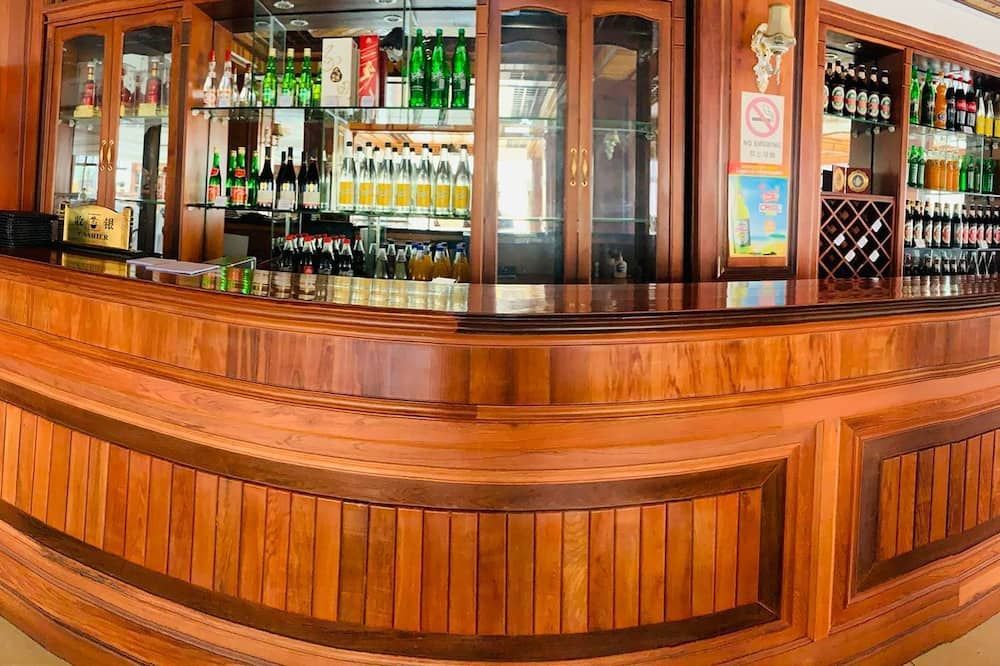 آسيا آند أفريكا هوتل - انتاناناريفو - بار