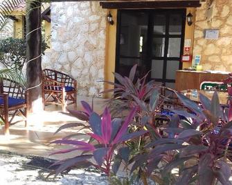 Casa de Las Tortugas I Tour Akumal - Akumal - Ingresso