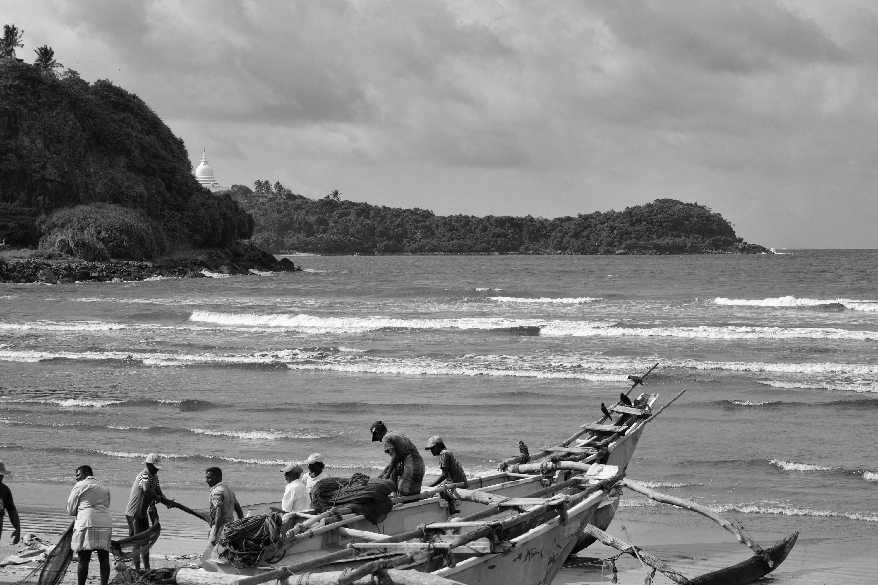 آويل آند ذا بوسيكات