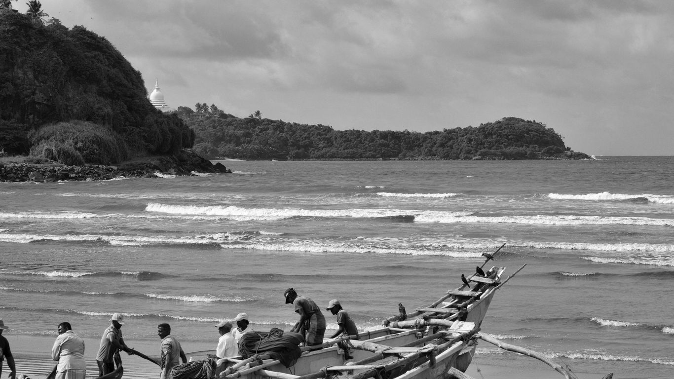 آويل آند ذا بوسيكات