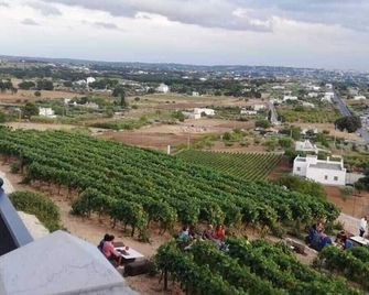 Casa Monna B&b - Locorotondo - Outdoors view