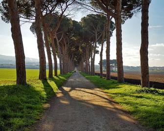 Agriturismo Tenuta Pantano Borghese - Colonna