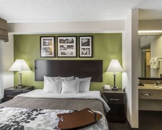 Rodeway Inn Knoxville North - Knoxville - Bedroom