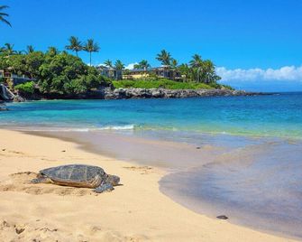 Remodeled w/ garden view- ks d11 - Sullivan - Kahana - Beach