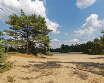 Weidemanssheide - Ommen