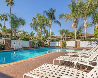 Best Western Plus Carriage Inn - Sherman Oaks - Pool