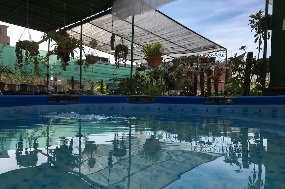 Casa Armando Havana - Havana - בריכה