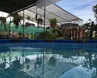 Armando's House - Close To The Sea - Havana - Pool