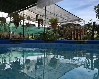 Casa Armando Havana - Havana - בריכה