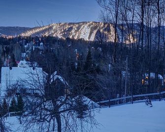 Saint-Sauveur/Le Petit Clocher Gite Touristique B & B - Saint-Sauveur - Vista del exterior