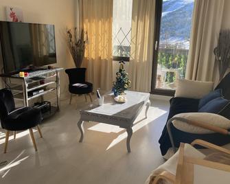 A little corner of paradise right opposite the ski slopes - Greolieres - Salon