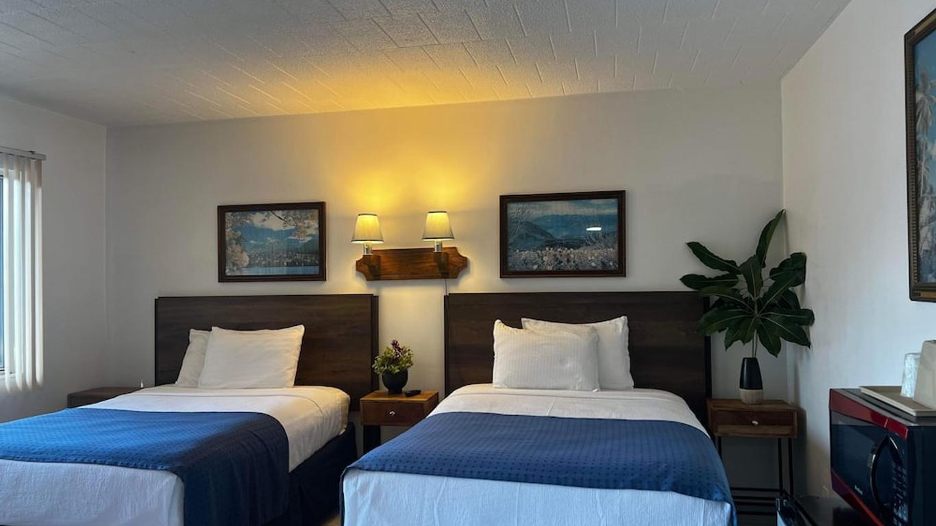 نوكتورن موتل