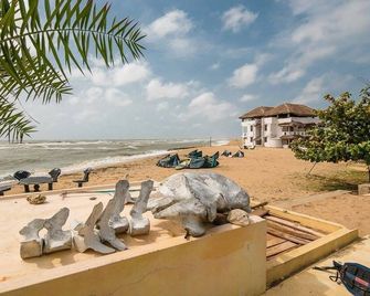 Wella Simbina Rella Kalpitiya - Kalpitiya - Strand