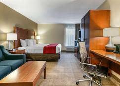 Comfort Inn Downtown - Chattanooga - Bedroom