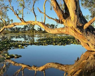 Hide & Seek Glamping Hut 1 - Nagambie - Outdoor view