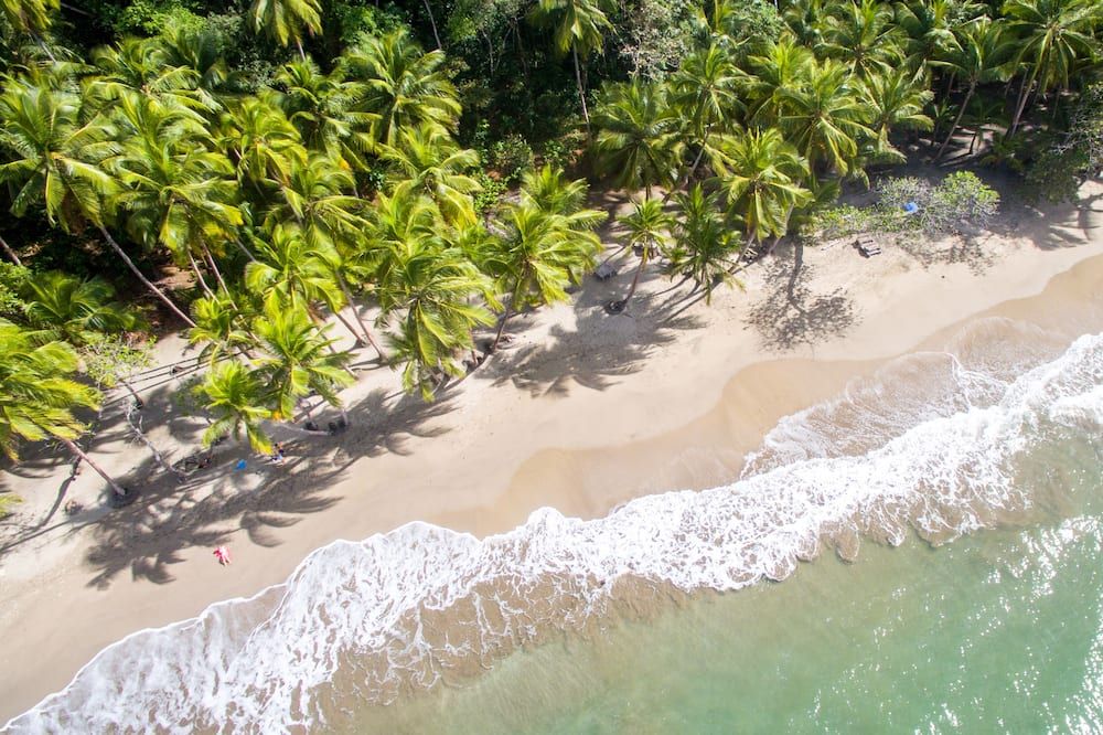 Picard Beach Cottage Resort - Portsmouth - Strand
