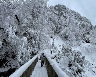 Résidence Les Chardons Argentés - Samoëns