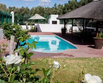 Olive Grove Guest Farm - Beaufort West - Piscina